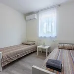 Three Bedroom With Swiming Pool Villa Raša